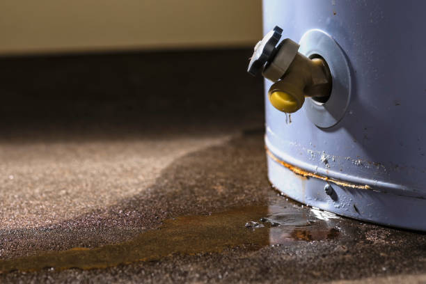 Best Mold removal after water damage  in Paducah, TX