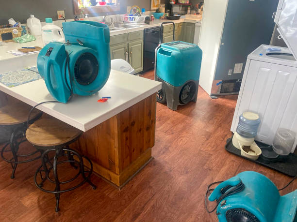 Best Basement water damage restoration  in Paducah, TX