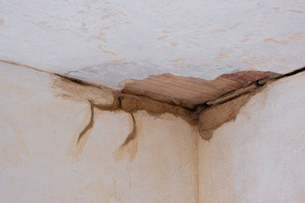 Best Water damage restoration services  in Paducah, TX