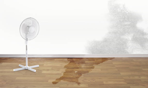 Best Emergency water damage restoration  in Paducah, TX