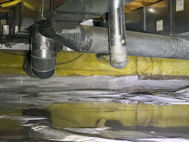 Best Water damage contractors near me  in Paducah, TX